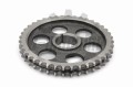 BM1024 -2.jpg